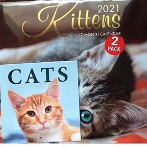 Bundle 2021 Calendar 2 Pk KITTENS & MAGNETIC Mini